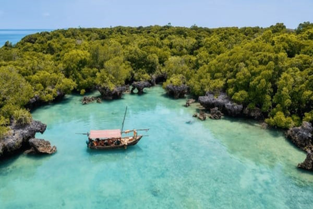 safariblue-tour-3